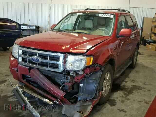 2011 FORD ESCAPE - VIN: 1FMCU0EG7BKB13311 - Фото 2