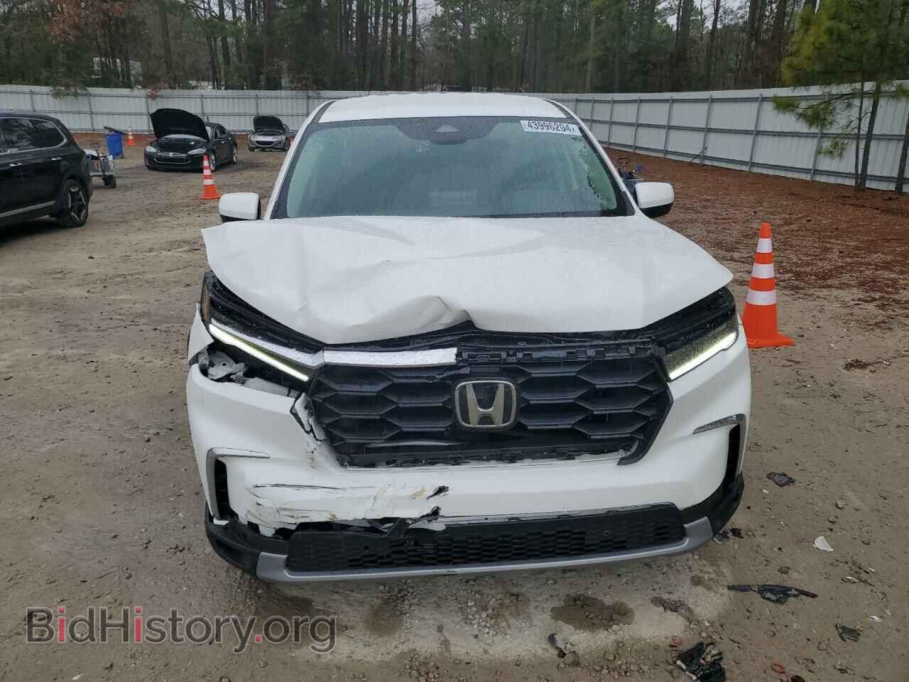2024 HONDA PILOT - VIN: 5FNYG1H59RB004647 - Фото 5