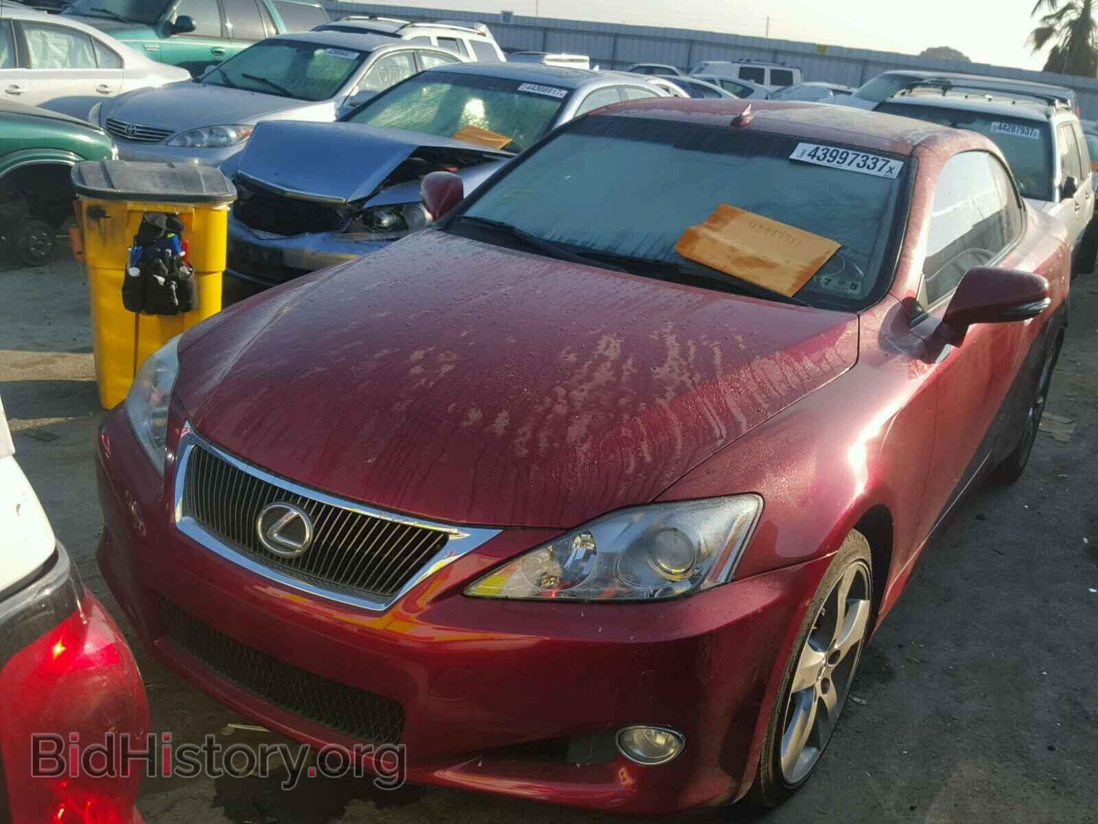 2010 LEXUS IS250 - VIN: JTHFF2C24A2510485 - Фото 2