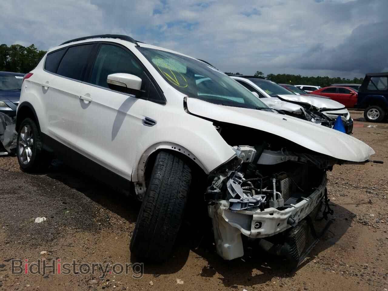 Фотография 1FMCU0HX7DUB23114 - FORD ESCAPE 2013