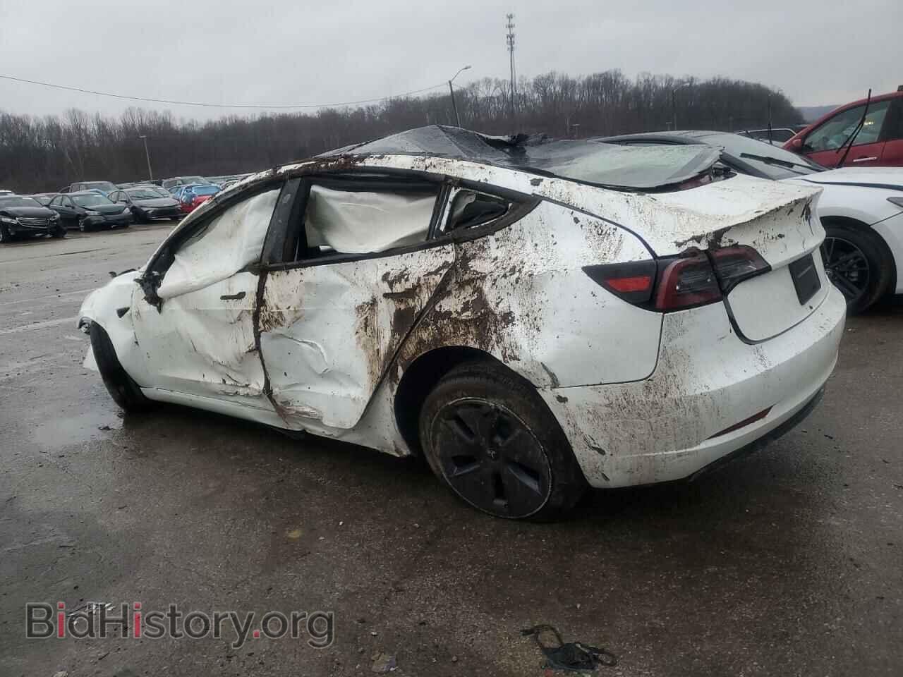 2023 TESLA MODEL 3 - VIN: 5YJ3E1EA0PF591304 - Photo 2