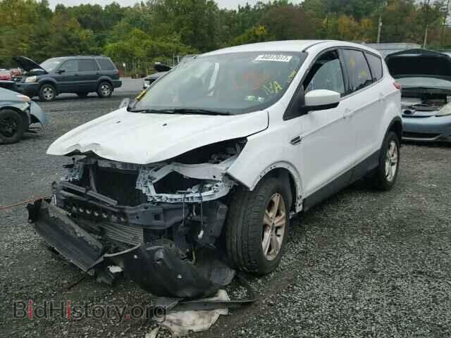 2015 FORD ESCAPE - VIN: 1FMCU0GX4FUA86608 - Фото 2