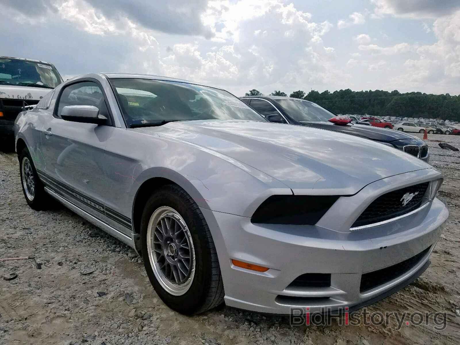 Photo 1ZVBP8AMXD5252140 - FORD MUSTANG 2013