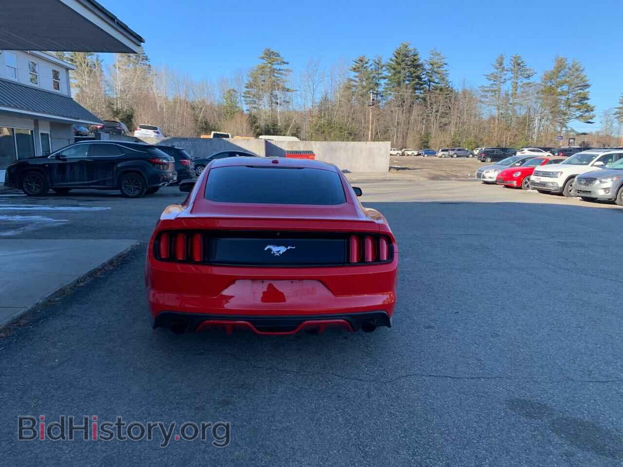2015 FORD ALL Models - VIN: 1FA6P8TH2F5385973 - Фото 4