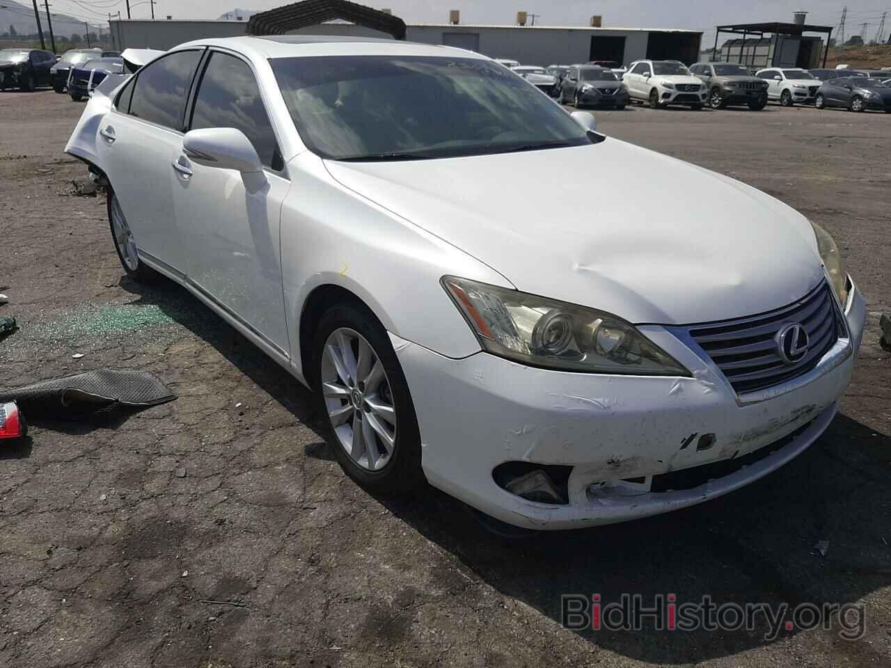 Фотография JTHBK1EGXB2454230 - LEXUS ES350 2011