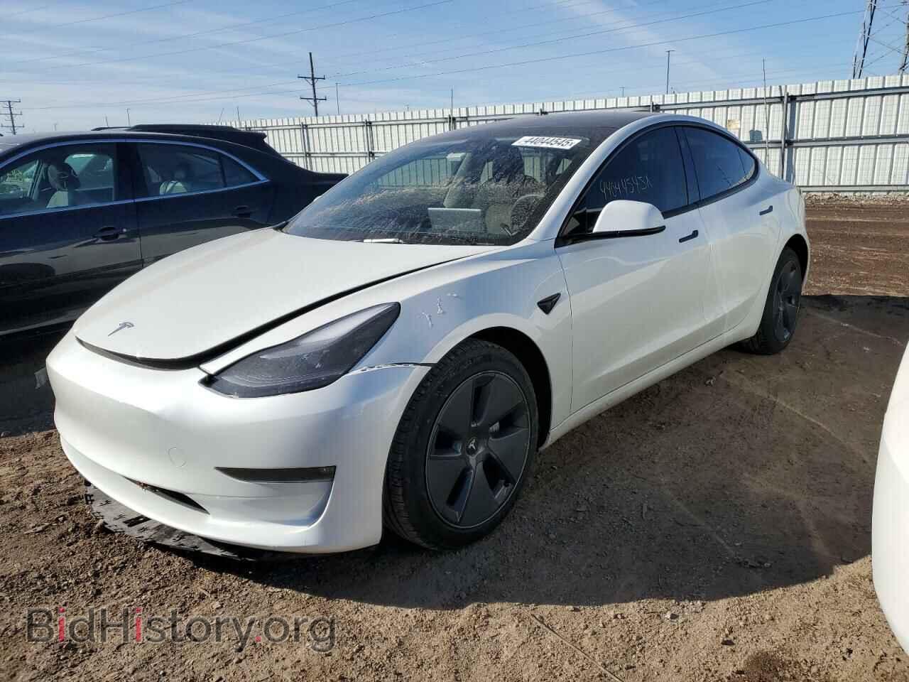Photo 5YJ3E1EB7PF393442 - TESLA MODEL 3 2023