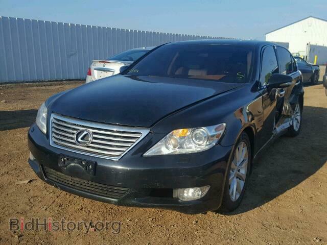 2011 LEXUS LS460 - VIN: JTHCL5EF5B5012096 - Photo 2