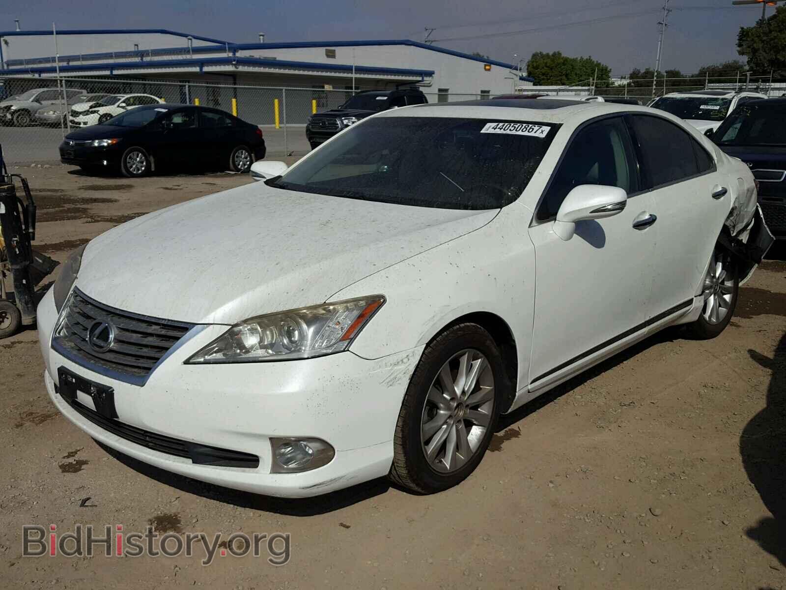 2010 LEXUS ES350 - VIN: JTHBK1EG8A2399954 - Фото 2