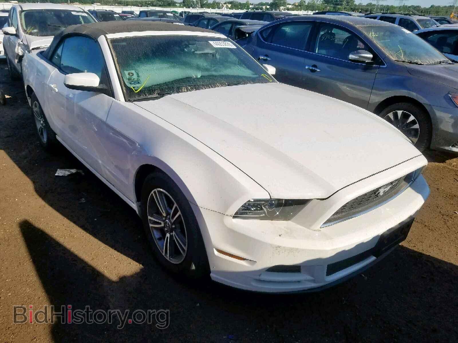 Photo 1ZVBP8EM8D5237050 - FORD MUSTANG 2013