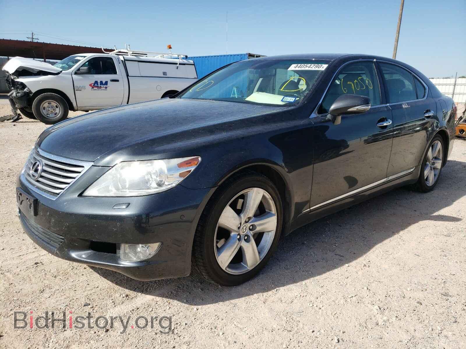 2011 LEXUS LS460 - VIN: JTHBL5EF2B5104438 - Фото 2