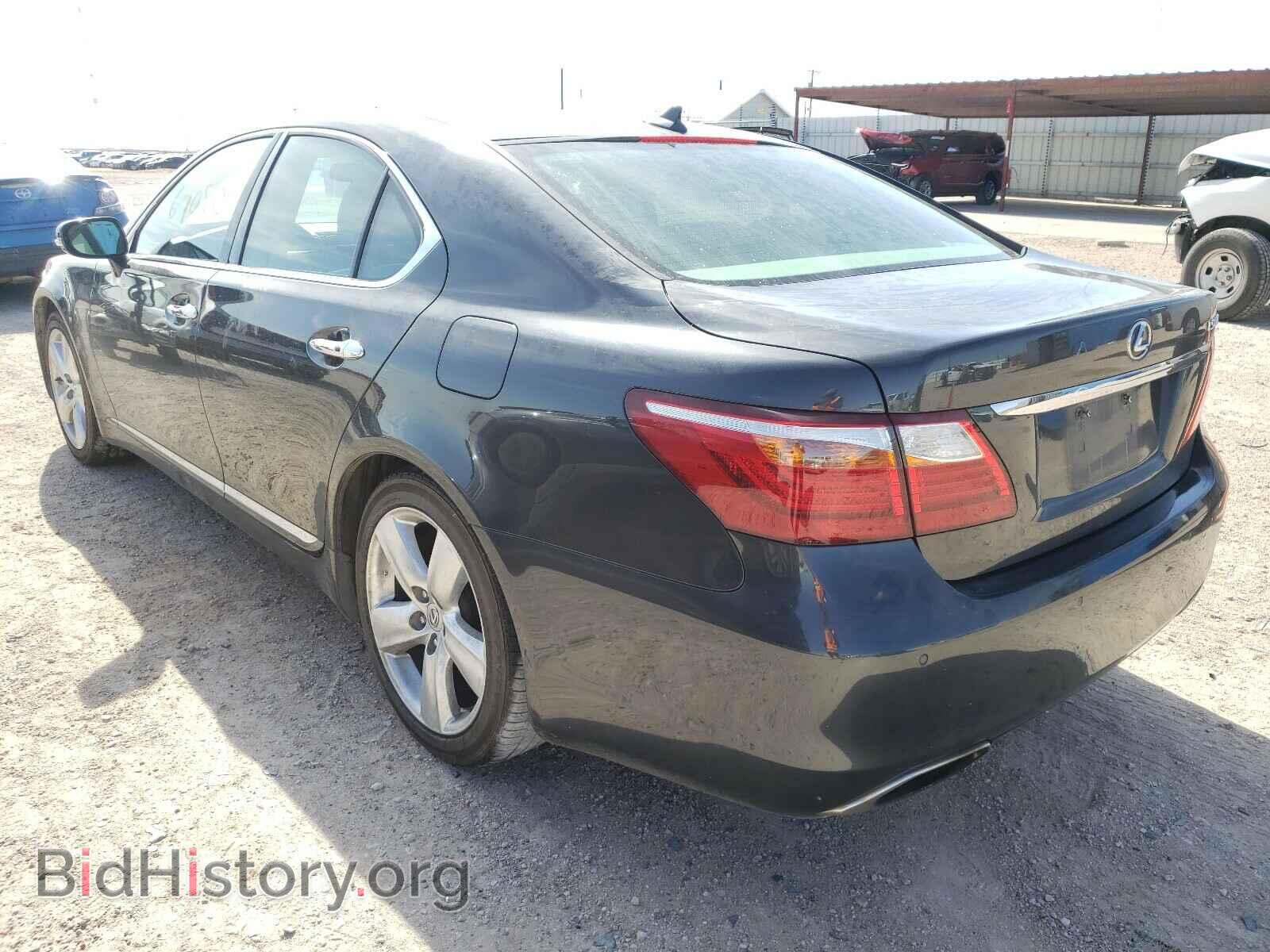 2011 LEXUS LS460 - VIN: JTHBL5EF2B5104438 - Фото 3