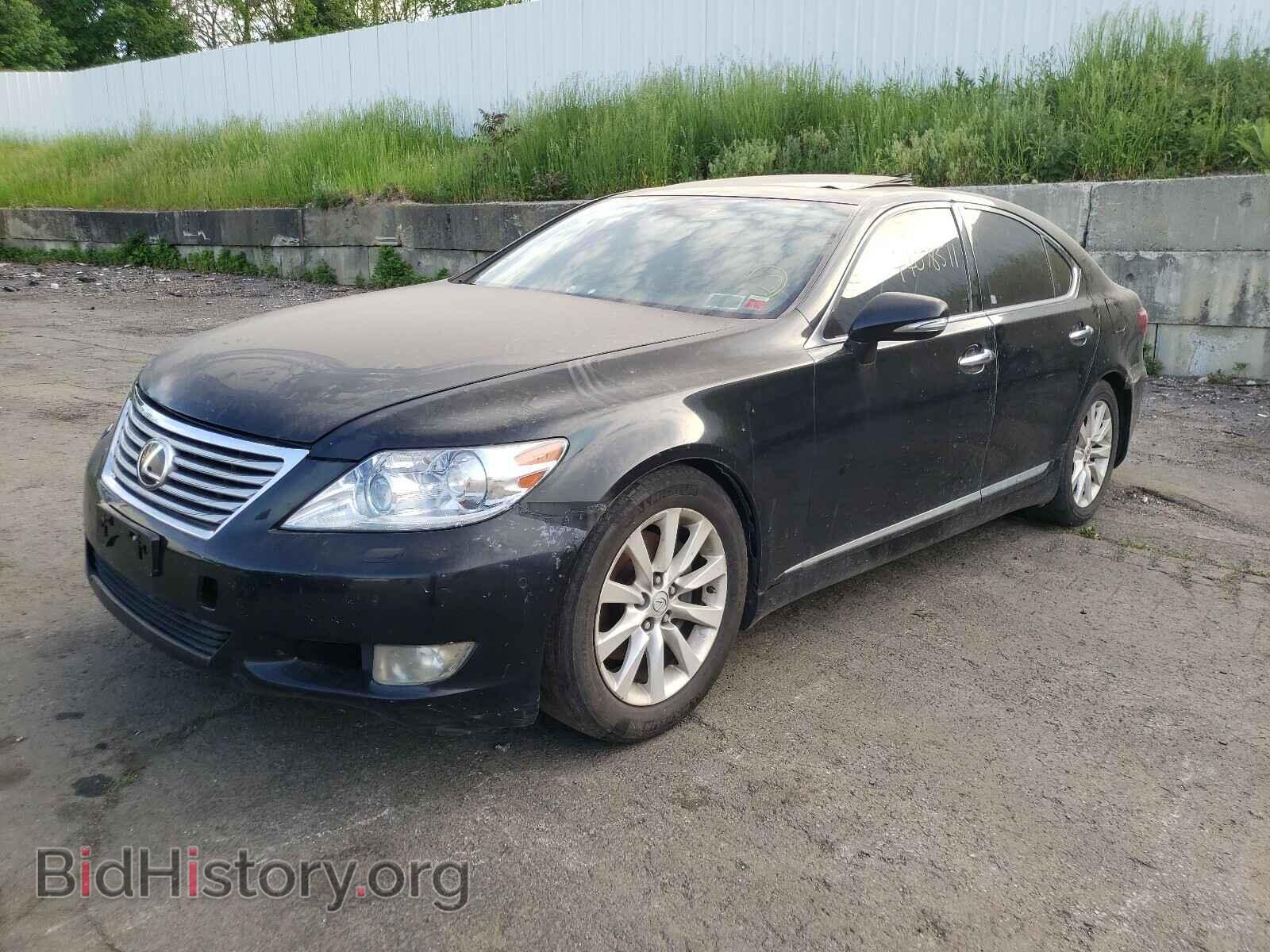 2010 LEXUS LS460 - VIN: JTHBL5EF8A5093766 - Фото 2