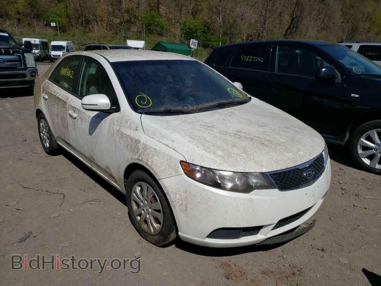 Фотография KNAFU4A27D5694889 - KIA FORTE 2013