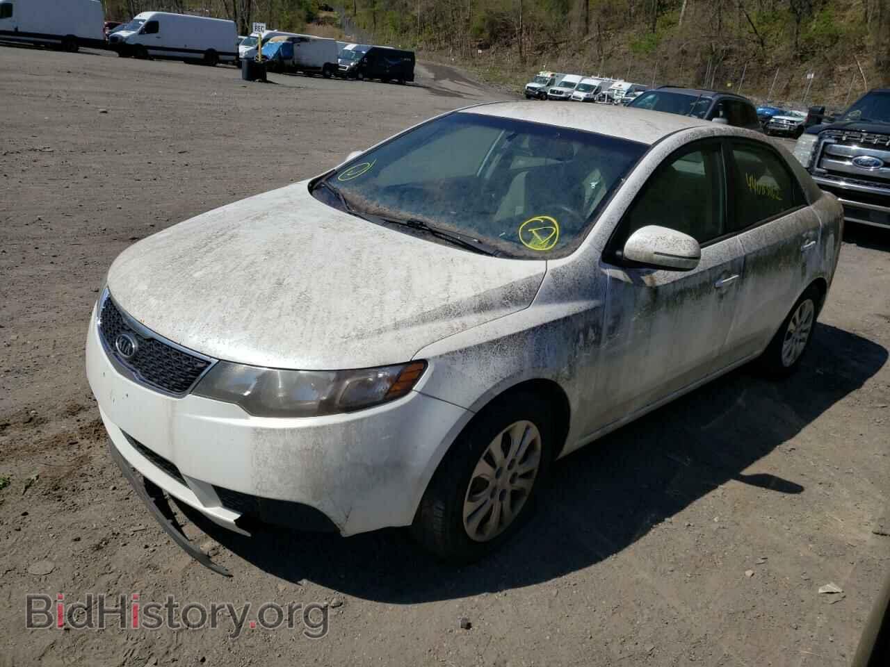 2013 KIA FORTE - VIN: KNAFU4A27D5694889 - Фото 2