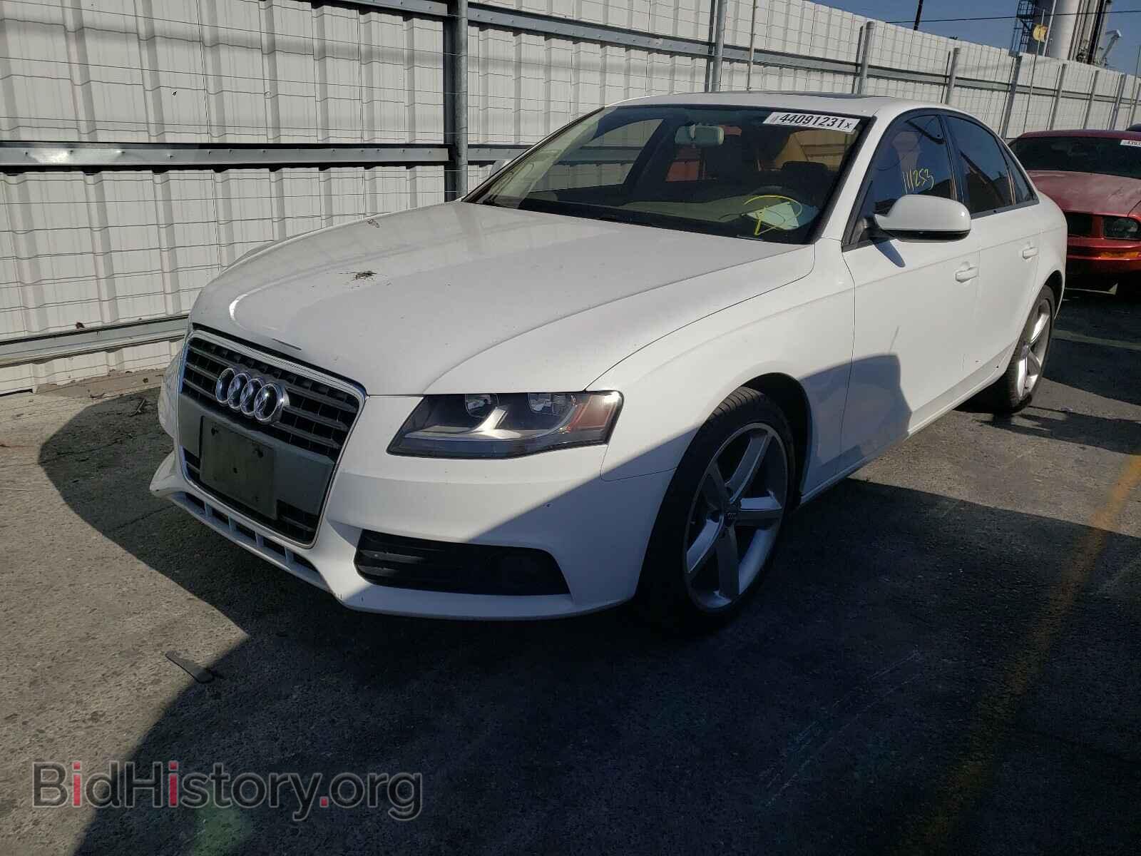 2010 AUDI A4 - VIN: WAUAFAFL7AN009130 - Фото 2