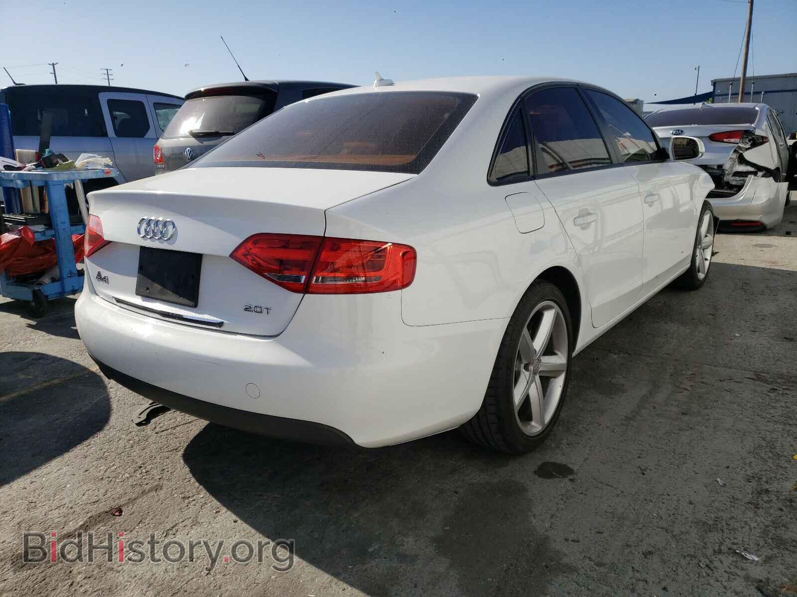 2010 AUDI A4 - VIN: WAUAFAFL7AN009130 - Фото 4