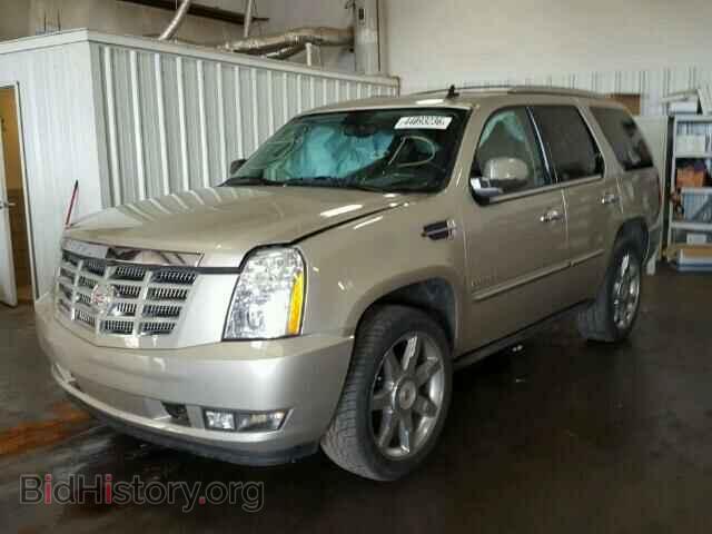 2013 CADILLAC ESCALADE - VIN: 1GYS4BEF5DR314227 - Фото 2