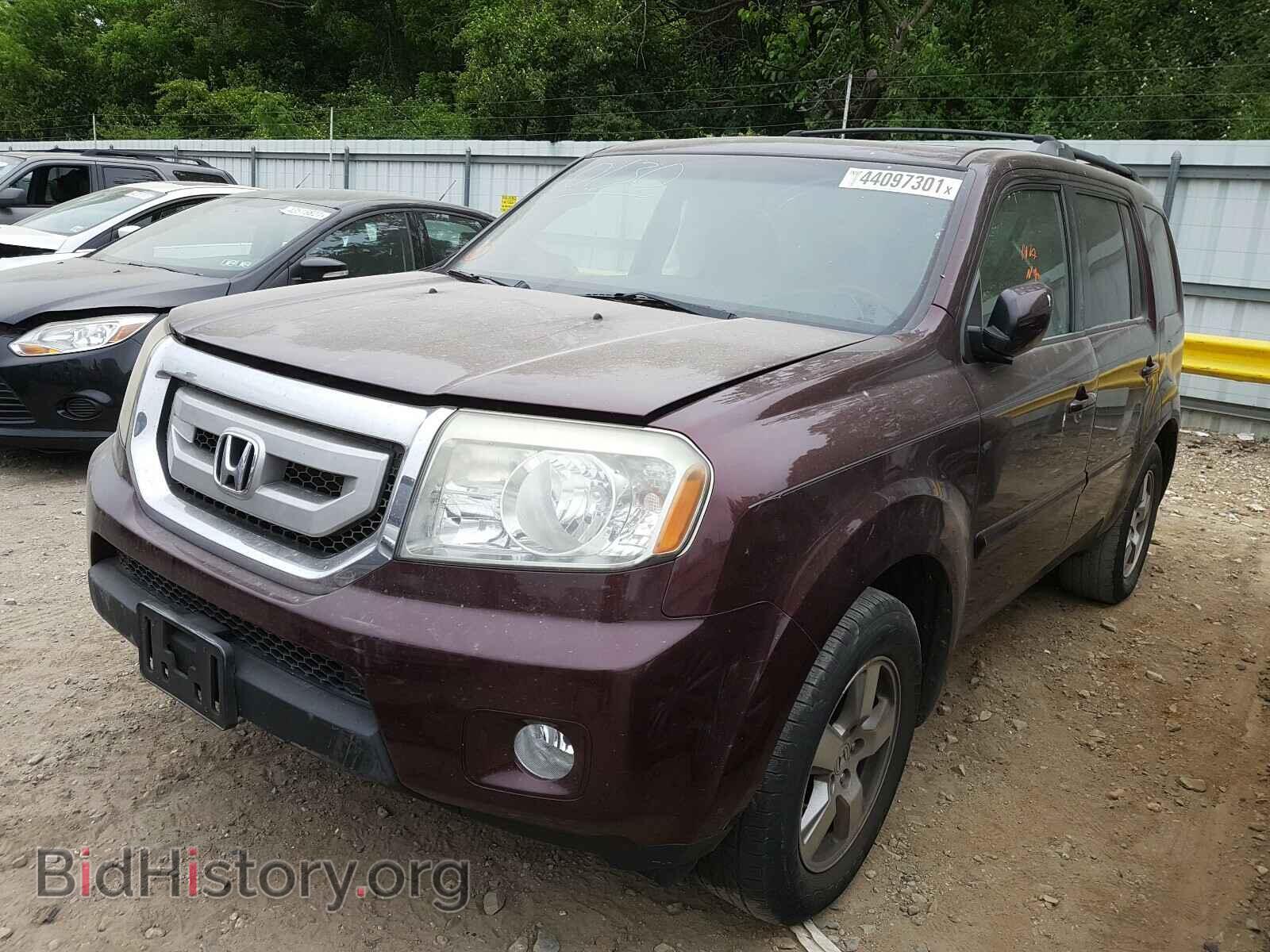 2011 HONDA PILOT - VIN: 5FNYF4H57BB041156 - Фото 2
