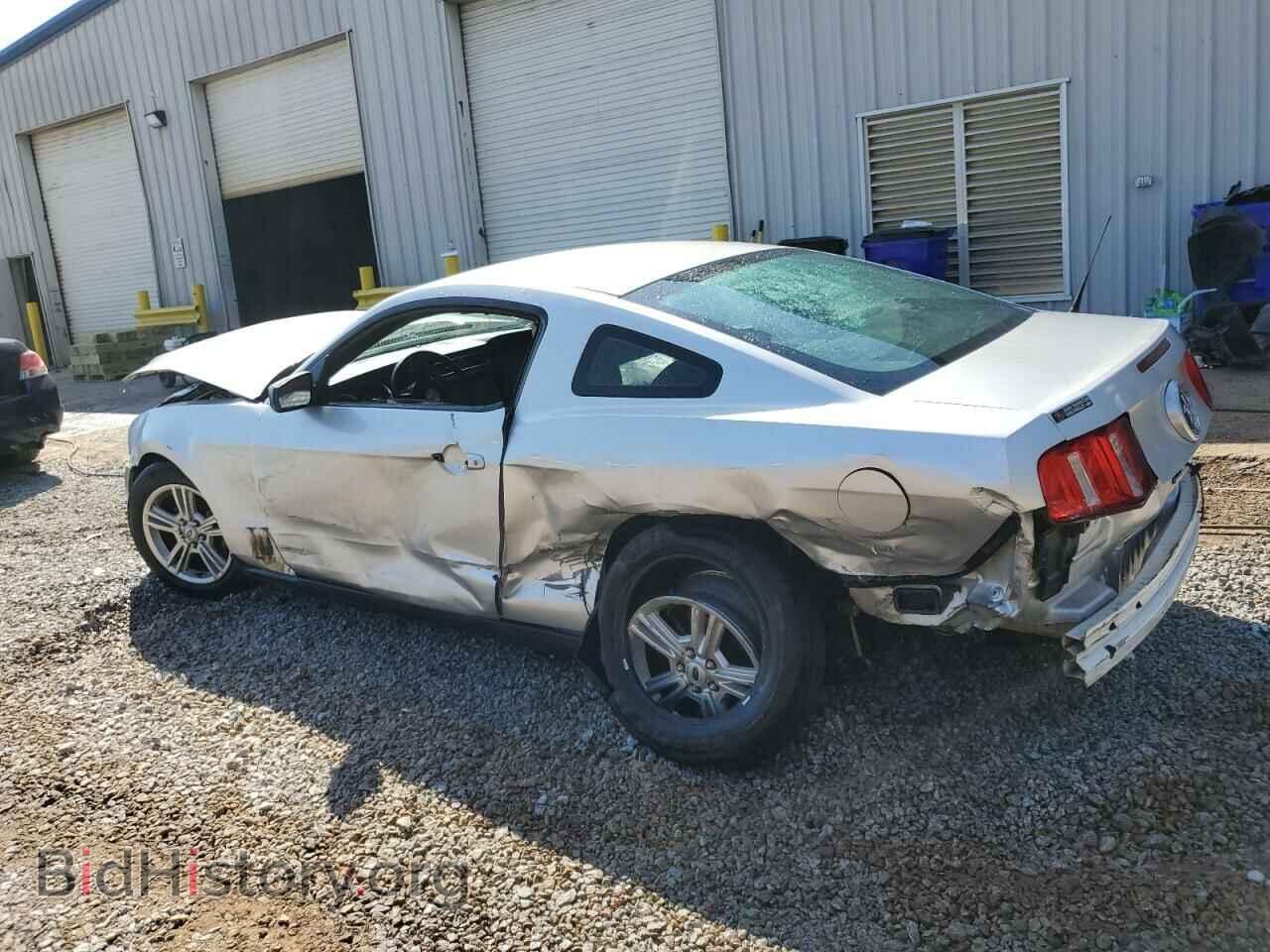 2010 FORD ALL Models - VIN: 1ZVBP8AN7A5157359 - Фото 2