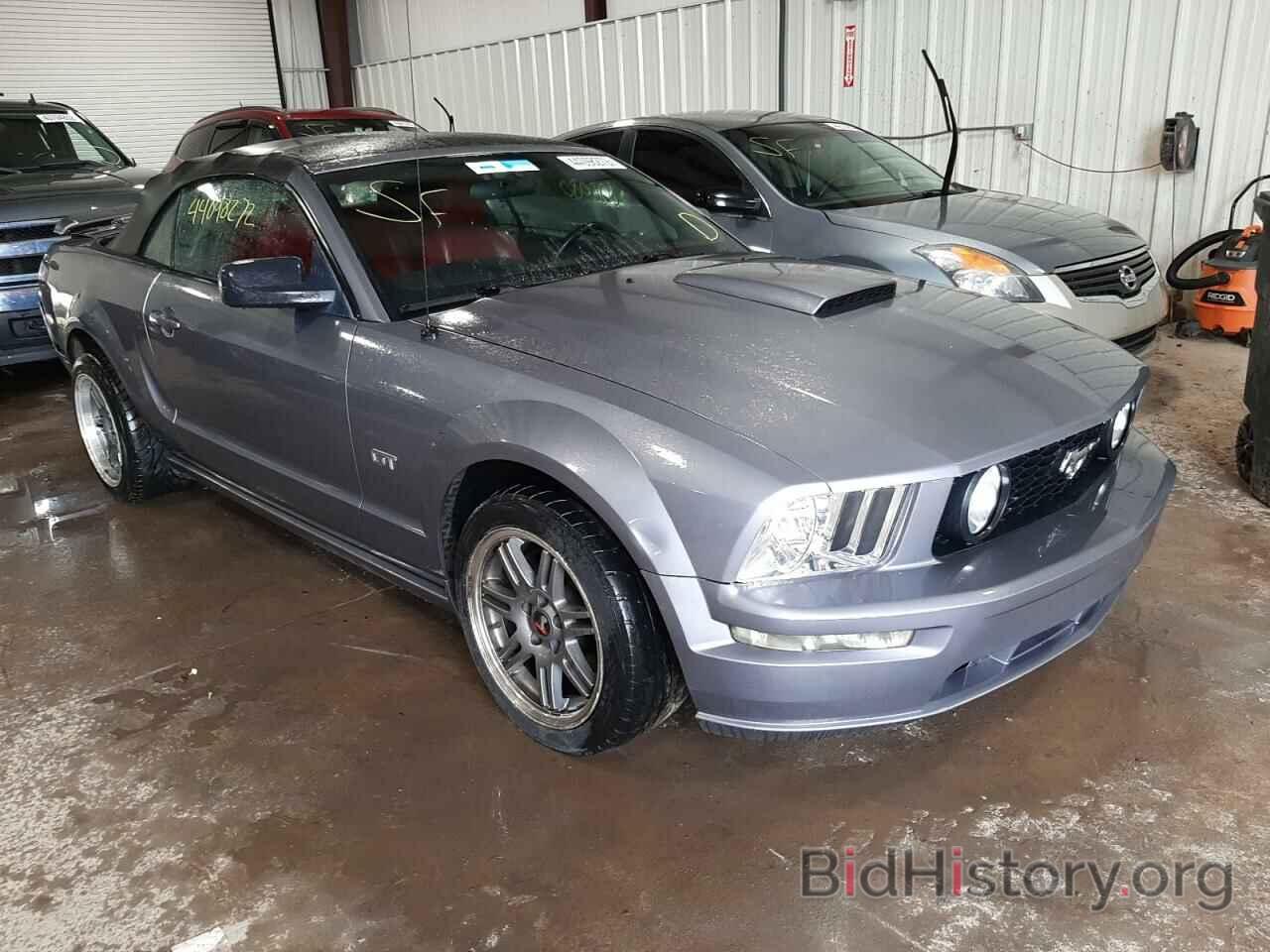 Photo 1ZVHT85H865143696 - FORD MUSTANG 2006