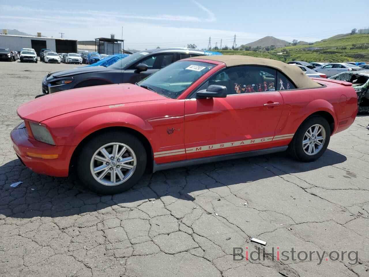 Photo 1ZVHT84N195115797 - FORD MUSTANG 2009