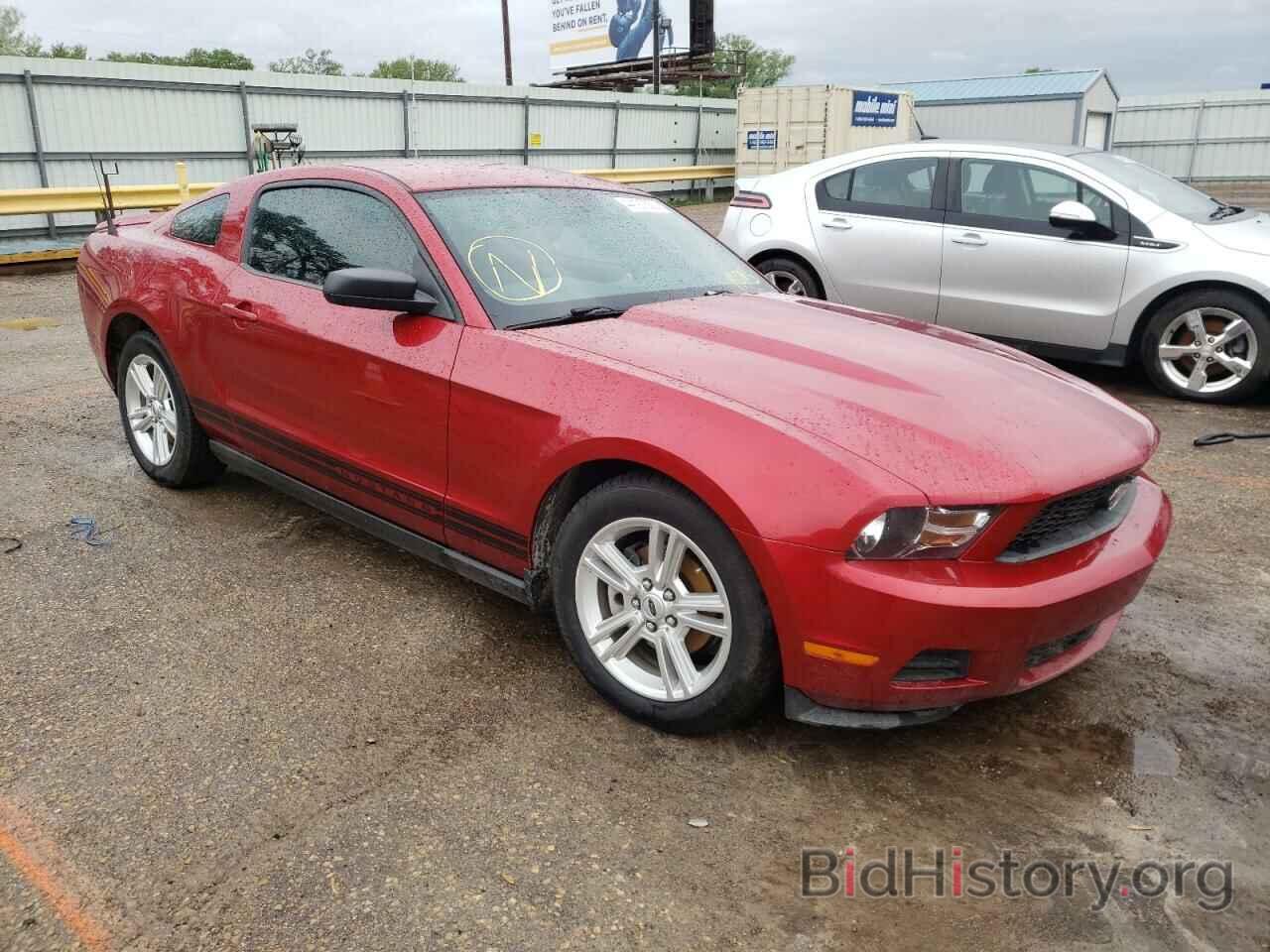 Photo 1ZVBP8AN5A5129737 - FORD MUSTANG 2010