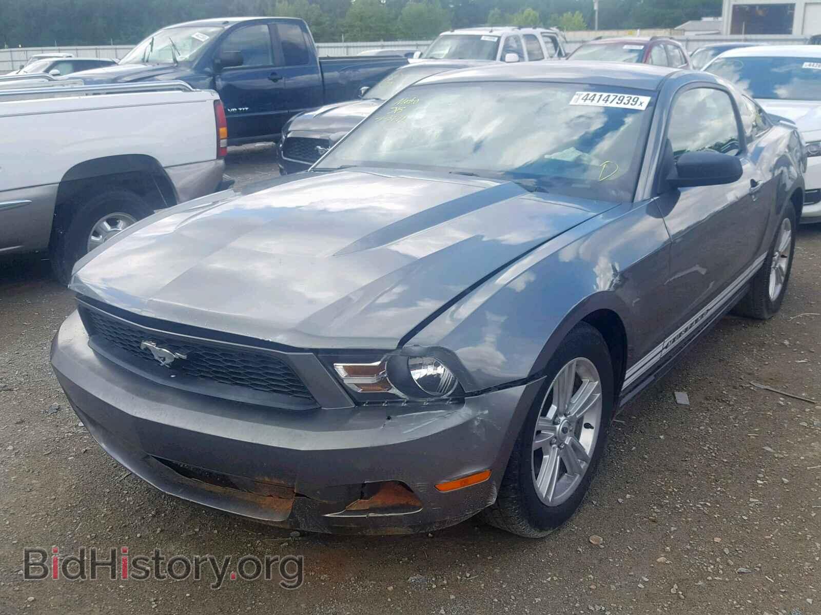 2011 FORD MUSTANG - VIN: 1ZVBP8AM9B5116594 - Фото 2