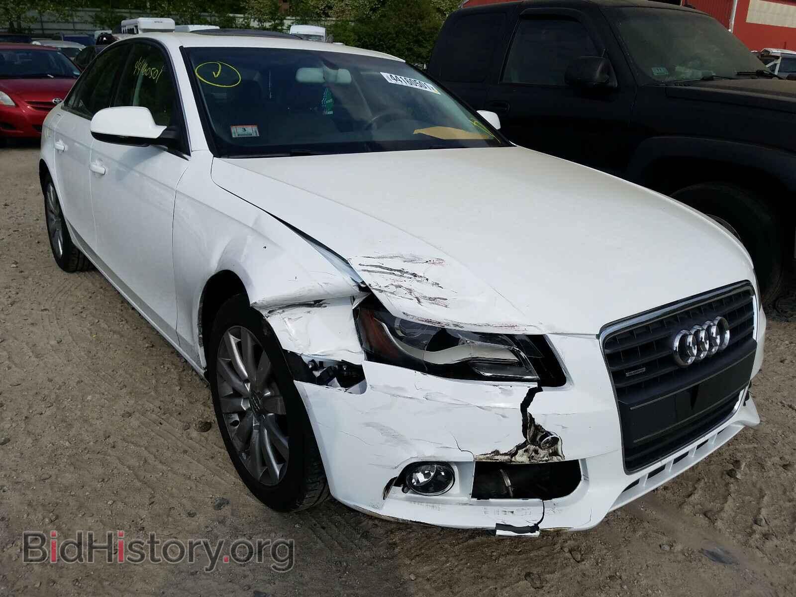 Фотография WAUBFAFL4CN011571 - AUDI A4 2012