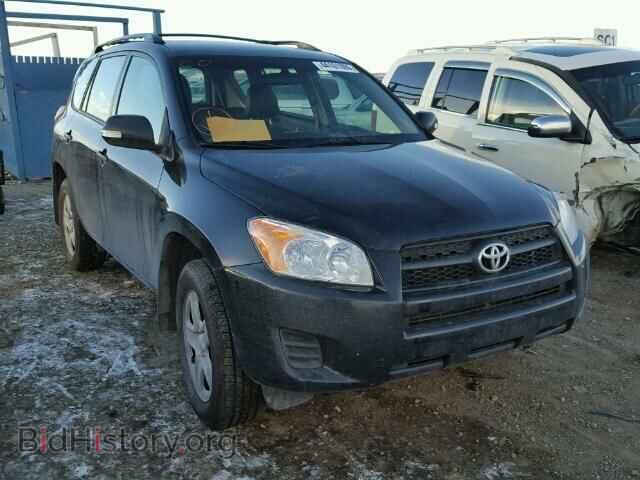 Фотография 2T3BF4DV1CW190332 - TOYOTA RAV4 2012