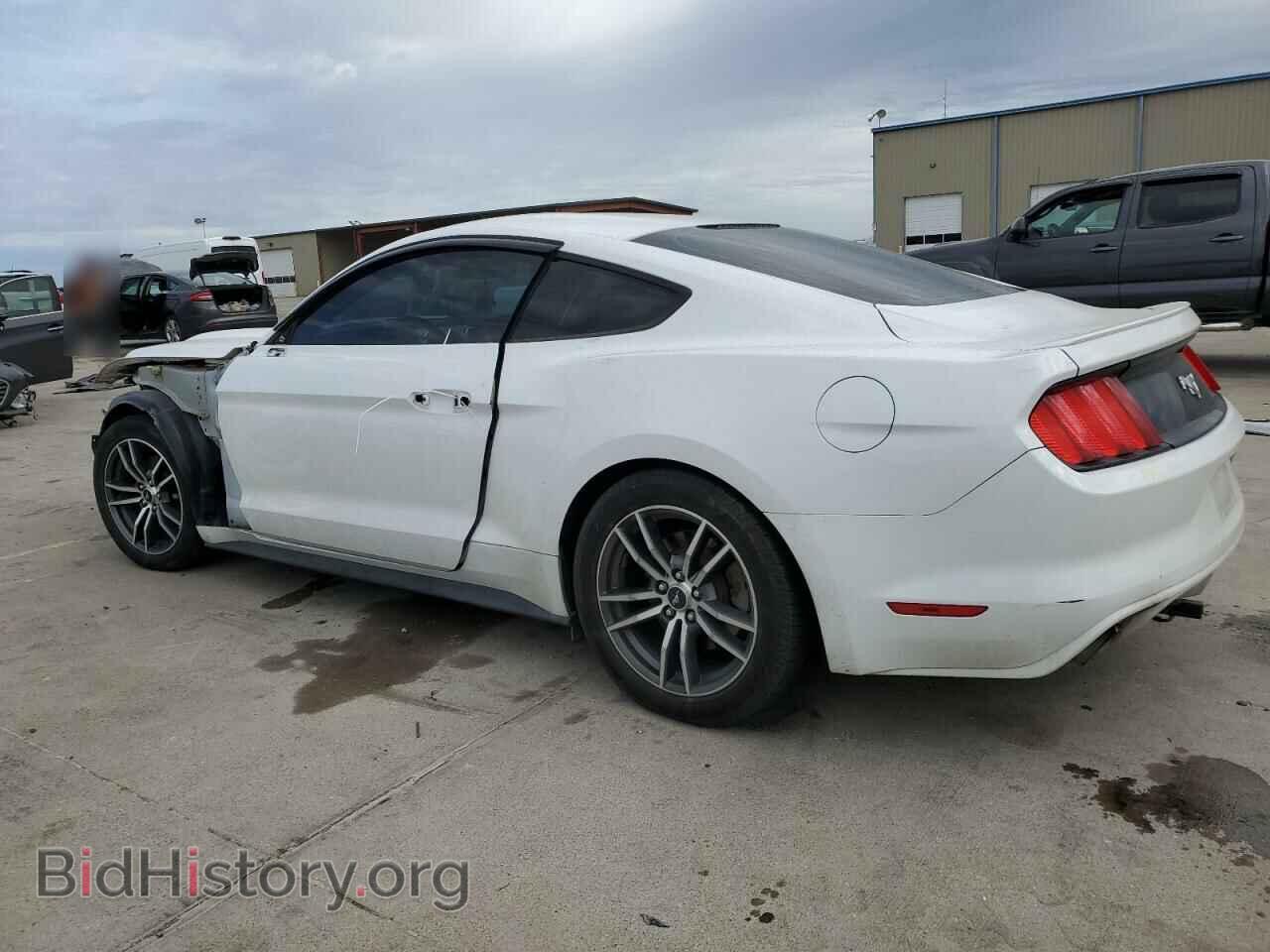2017 FORD ALL Models - VIN: 1FA6P8THXH5228534 - Photo 2