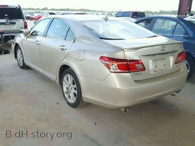 2010 LEXUS ES 350 - VIN: JTHBK1EG8A2389005 - Фото 3