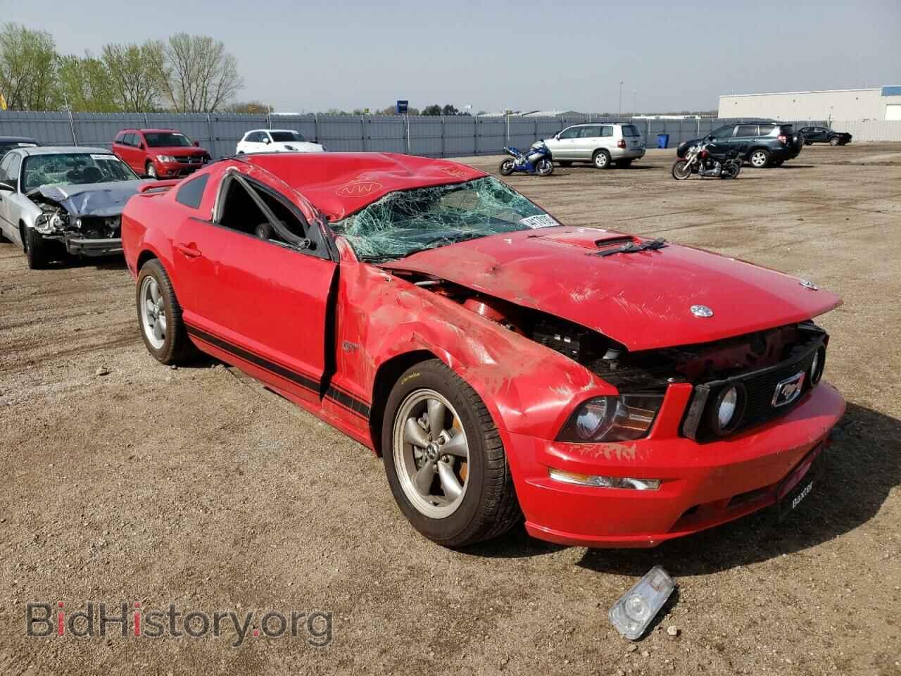 Фотография 1ZVHT82H665219095 - FORD MUSTANG 2006