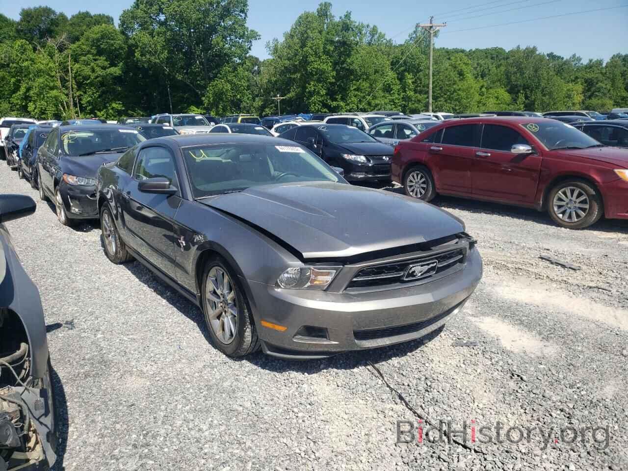 Photo 1ZVBP8AN9A5115422 - FORD MUSTANG 2010