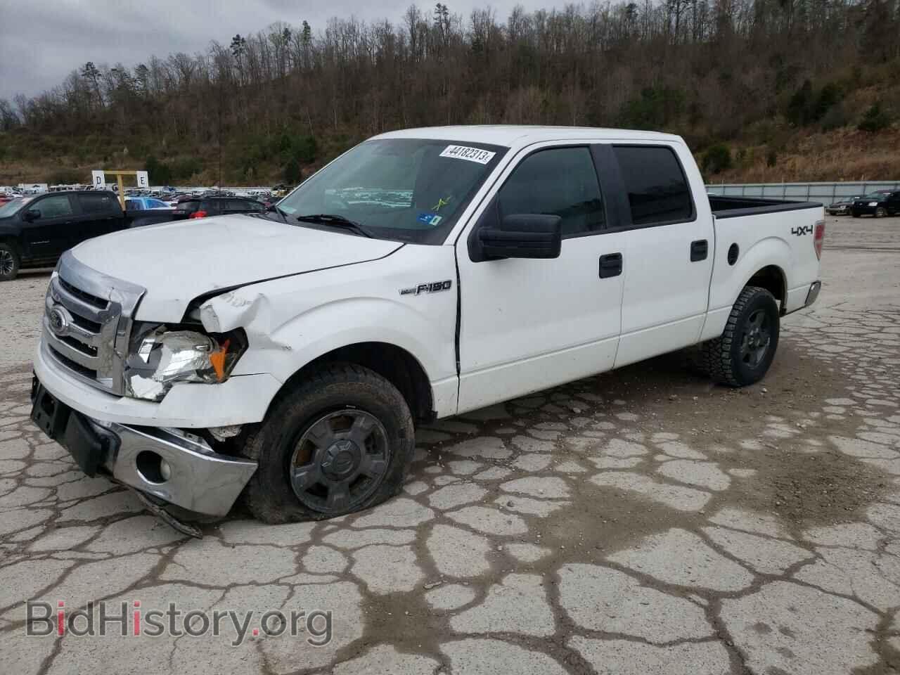 Фотография 1FTFW1EF3CFB26379 - FORD F-150 2012
