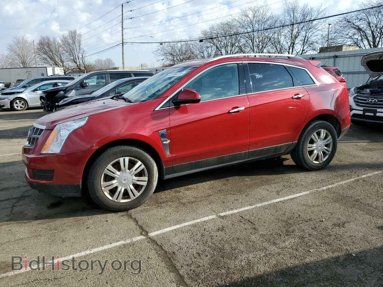 Фотография 3GYFNAE34CS623245 - CADILLAC SRX 2012