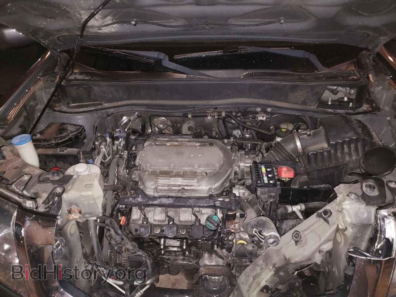 2011 HONDA PILOT - VIN: 5FNYF4H52BB019985 - Фото 7