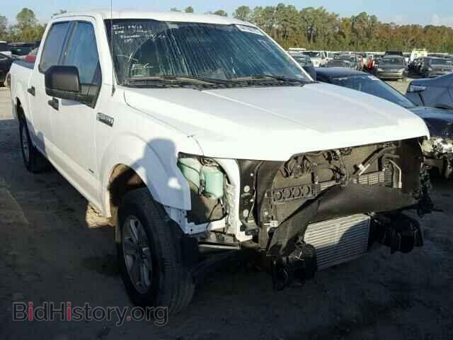 Photo 1FTEW1CP6GKF96443 - FORD F150 2016