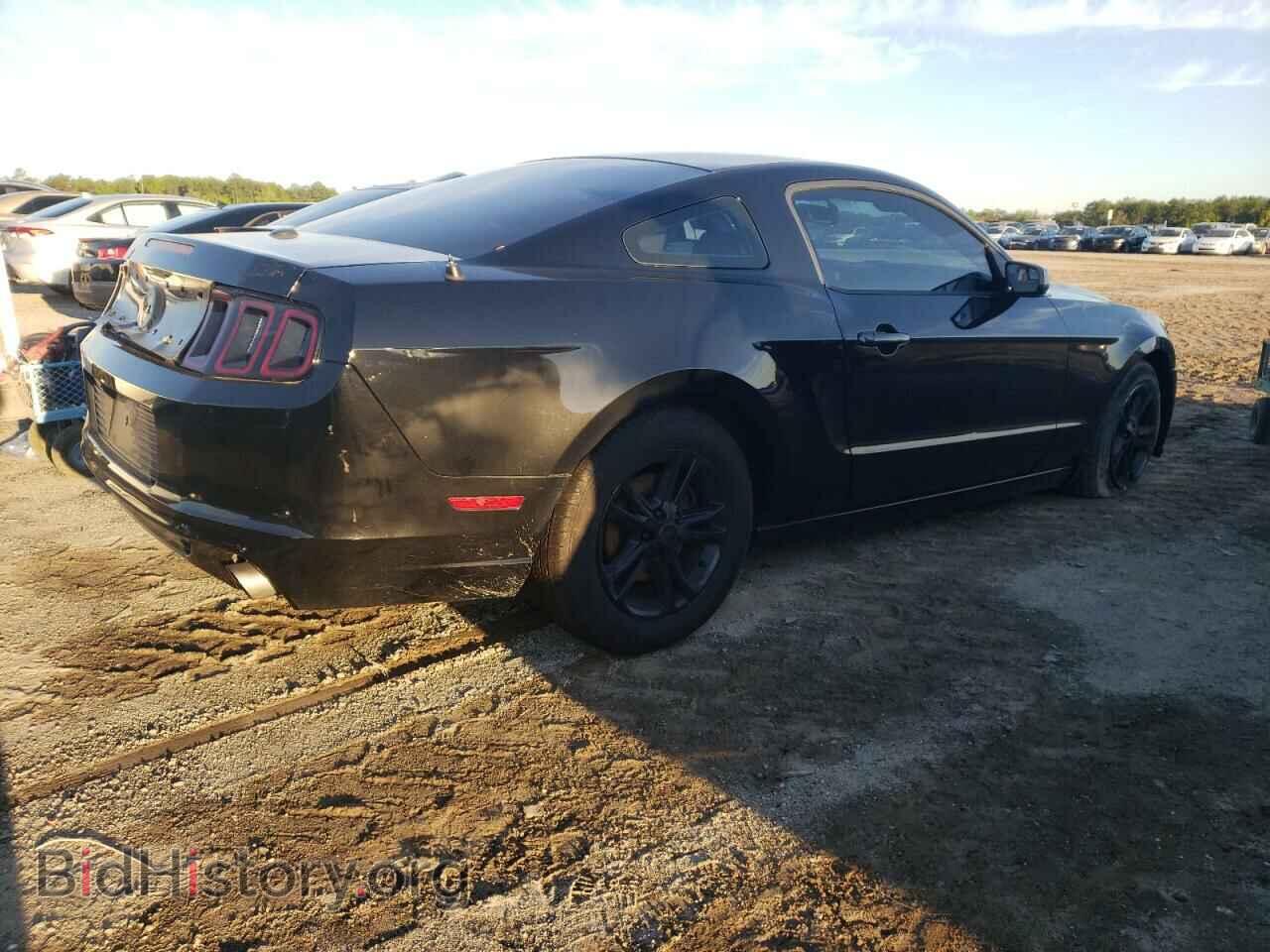 2014 FORD MUSTANG - VIN: 1ZVBP8AM4E5299827 - Фото 3