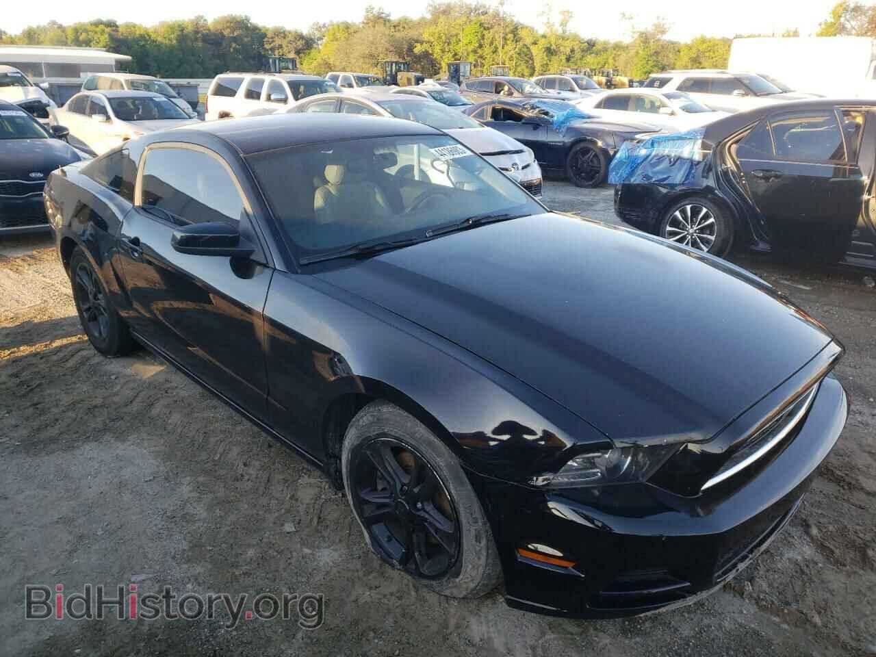 2014 FORD MUSTANG - VIN: 1ZVBP8AM4E5299827 - Фото 4