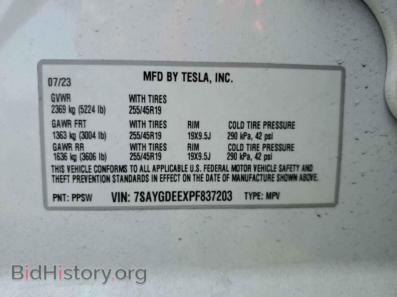 2023 TESLA MODEL Y - VIN: 7SAYGDEEXPF837203 - Фото 13