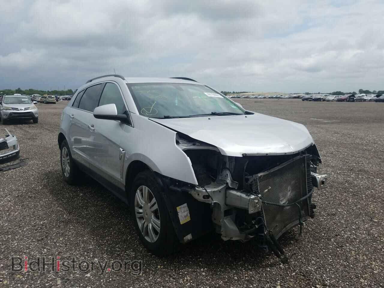 Фотография 3GYFNAE38DS512490 - CADILLAC SRX 2013