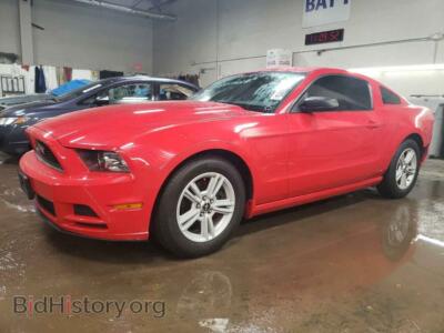 2014 Ford ALL MODELS, red — VIN 1ZVBP8AM5E5249969, Copart