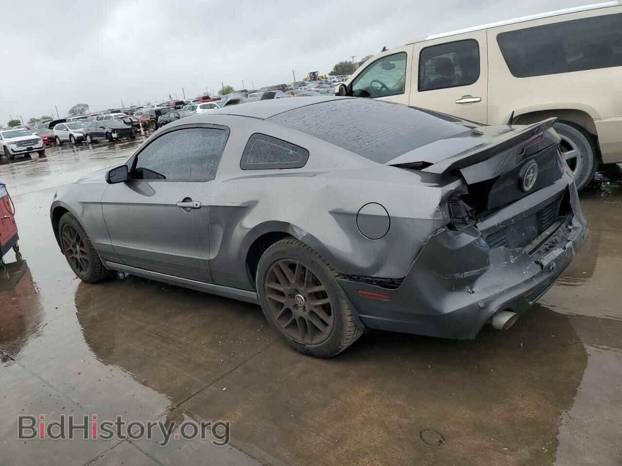 2013 FORD MUSTANG - VIN: 1ZVBP8AM5D5258024 - Фото 2