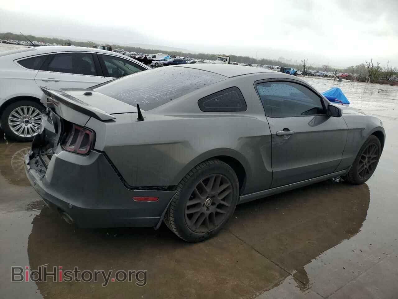 2013 FORD MUSTANG - VIN: 1ZVBP8AM5D5258024 - Фото 3