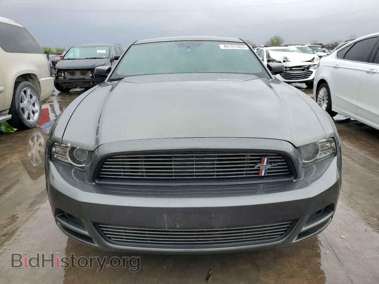 2013 FORD MUSTANG - VIN: 1ZVBP8AM5D5258024 - Фото 5
