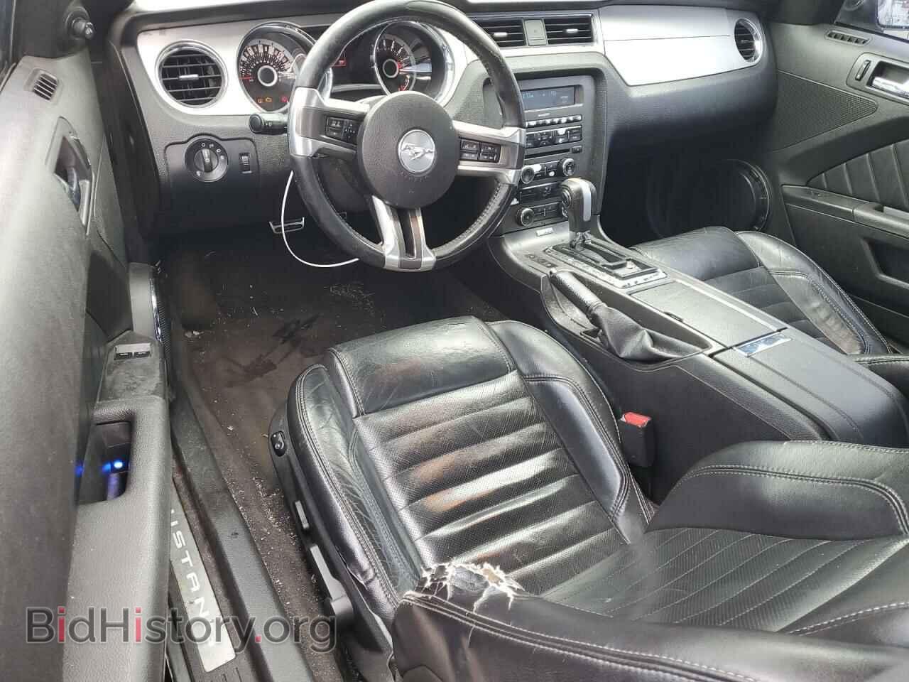 2013 FORD MUSTANG - VIN: 1ZVBP8AM5D5258024 - Фото 8
