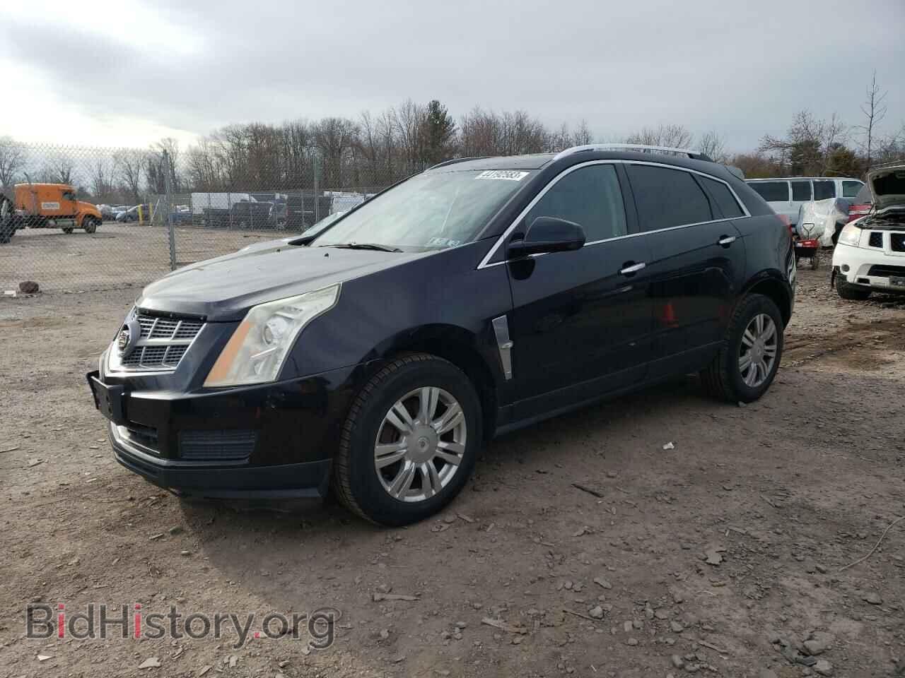 Фотография 3GYFNAEY1AS545791 - CADILLAC SRX 2010
