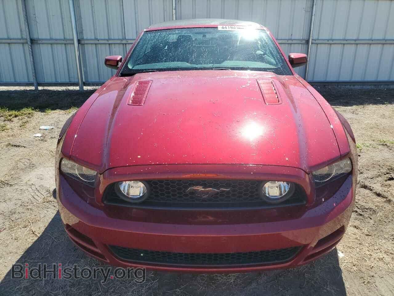 2014 FORD MUSTANG - VIN: 1ZVBP8FF6E5243463 - Фото 5