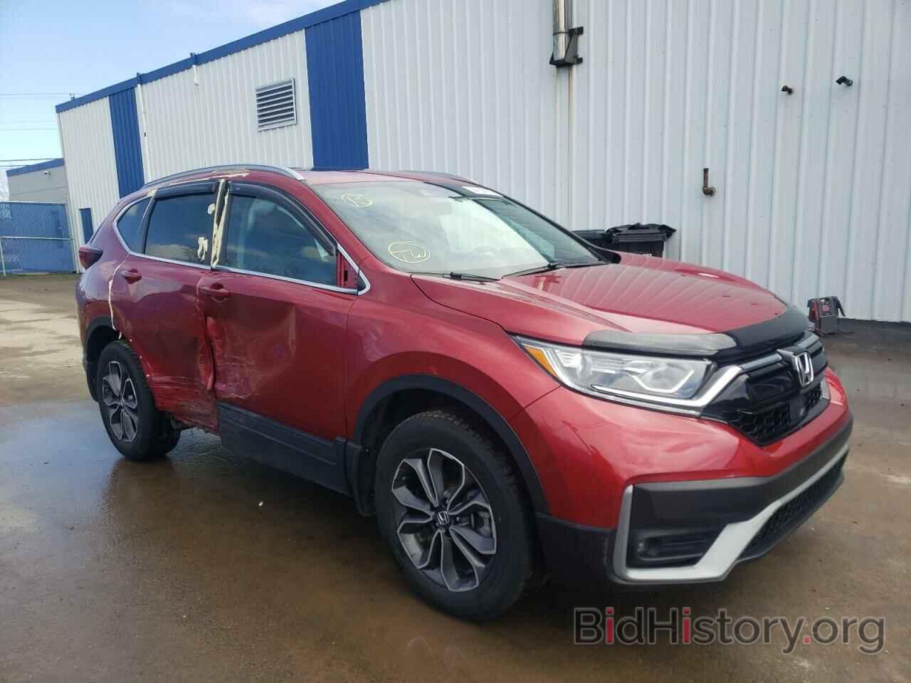 Photo 2HKRW2H87LH228192 - HONDA CRV 2020