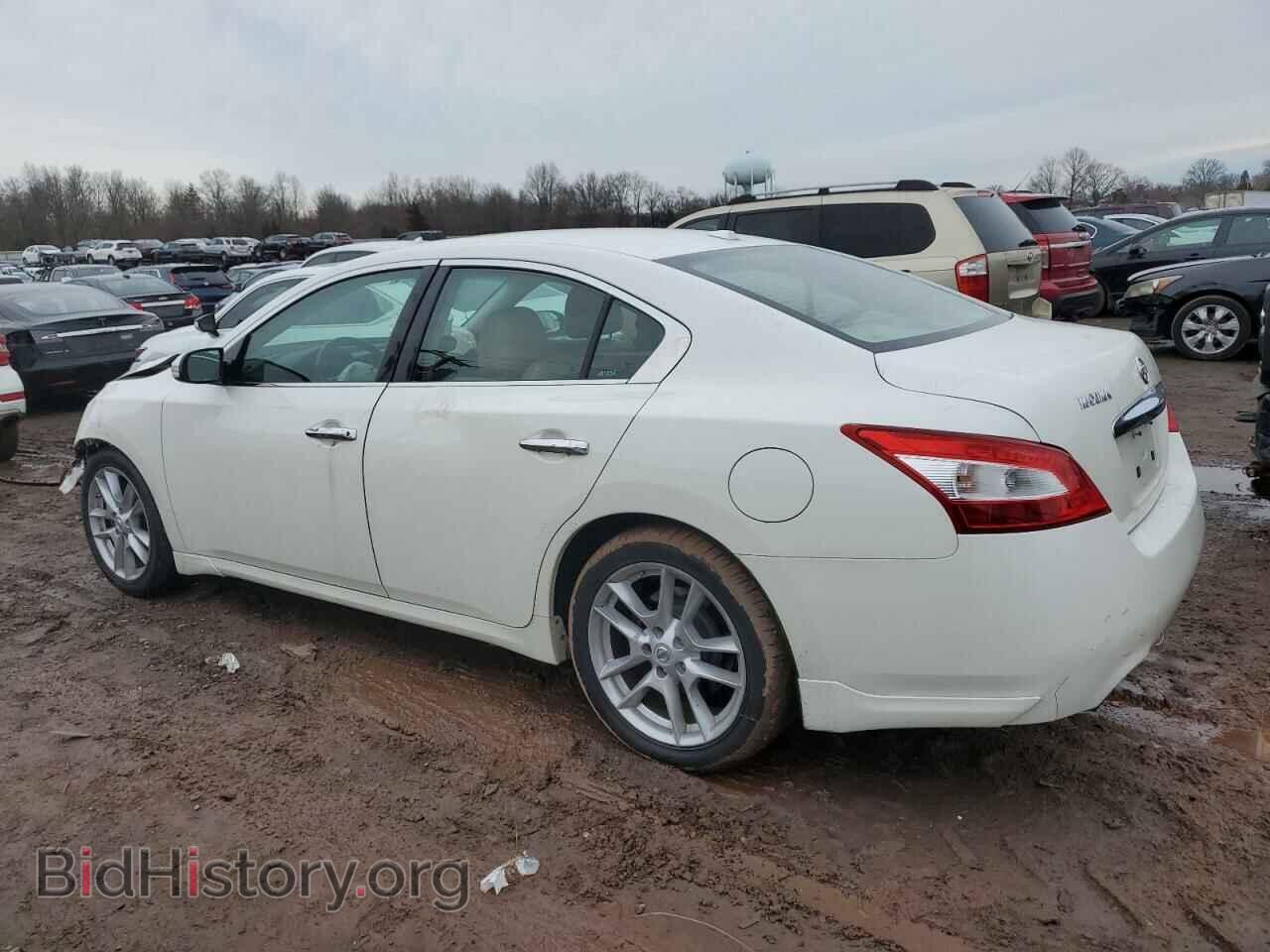 2010 NISSAN MAXIMA - VIN: 1N4AA5AP1AC806607 - Фото 2